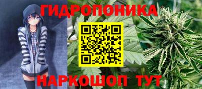 мдпв Можга