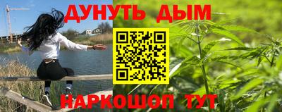 мдпв Можга