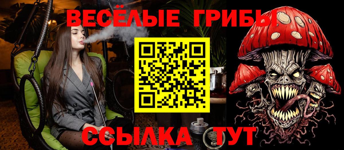 Элиста  Галлюциногенные грибы Psilocybe  Вход с VPN  Галлюциногенные грибы мухоморы 