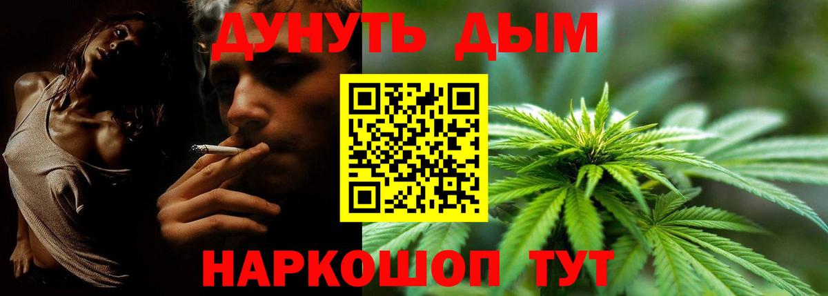 Каннабис сатива Элиста